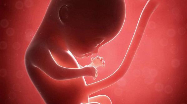 储存脐带血意义重大